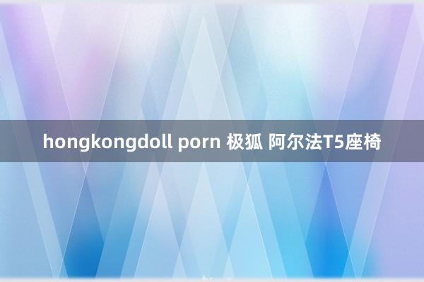 hongkongdoll porn 极狐 阿尔法T5座椅