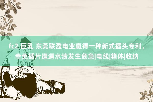 fc2 巨乳 东莞联盈电业赢得一种新式插头专利，幸免插片遭遇水渍发生危急|电线|箱体|收纳