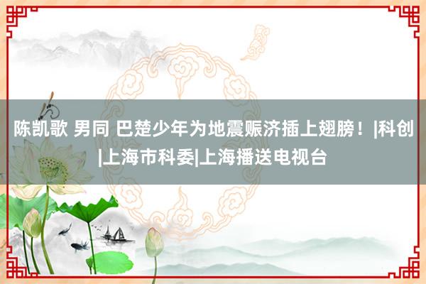 陈凯歌 男同 巴楚少年为地震赈济插上翅膀！|科创|上海市科委|上海播送电视台