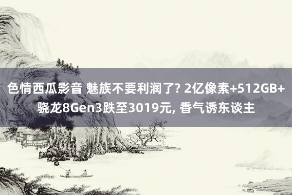 色情西瓜影音 魅族不要利润了? 2亿像素+512GB+骁龙8Gen3跌至3019元， 香气诱东谈主