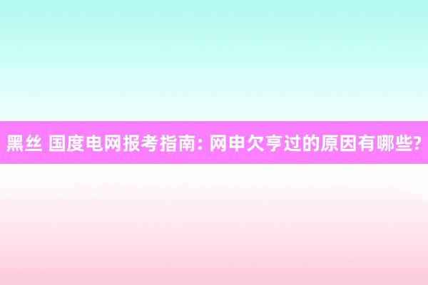 黑丝 国度电网报考指南: 网申欠亨过的原因有哪些?