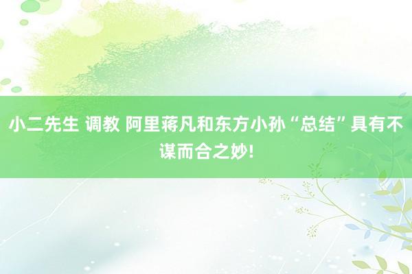 小二先生 调教 阿里蒋凡和东方小孙“总结”具有不谋而合之妙!